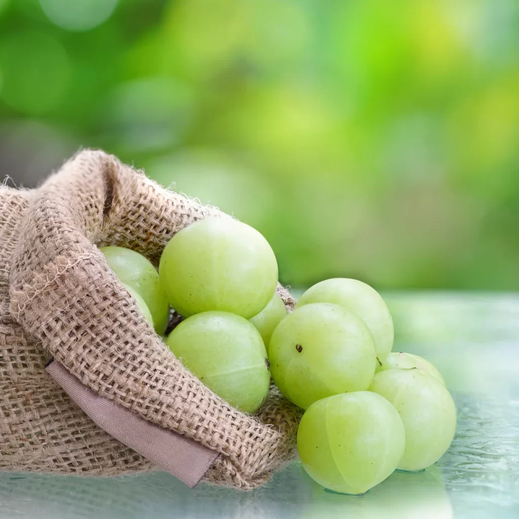 Amla: Nature’s Elixir for Healthy Hair in Winter