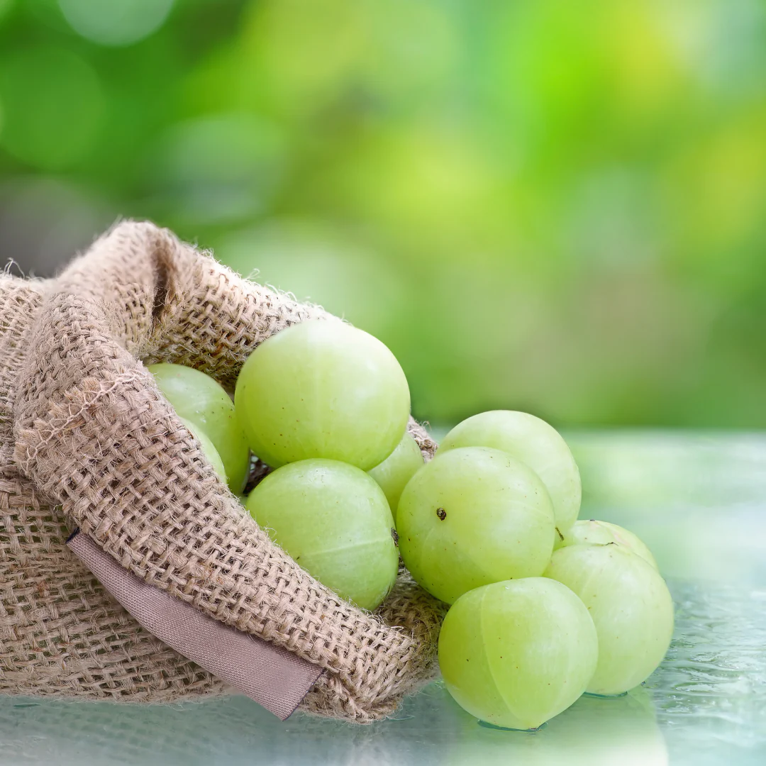 Amla: Nature’s Elixir for Healthy Hair in Winter